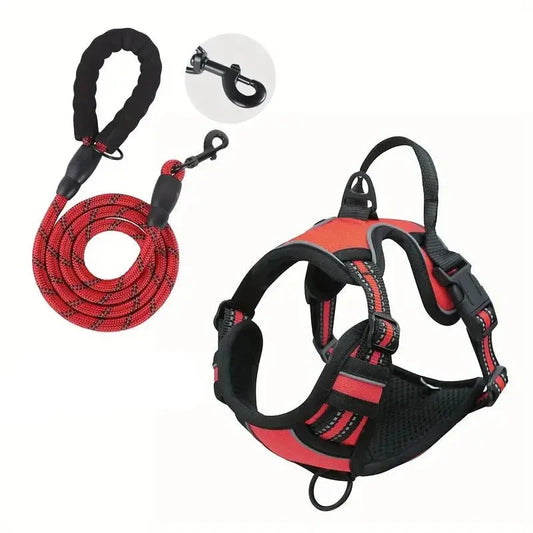 laisse et harnais pour chien de couleur rouge résistant et durable. Image produit Boutiquechien