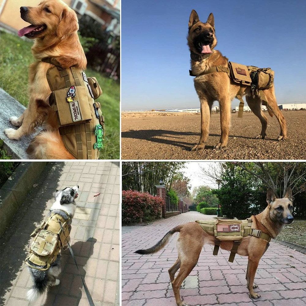 Harnais sacoche chien dans plusieurs lieux Image