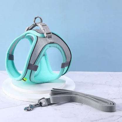 Harnais souple pour petit chien bleu claire 