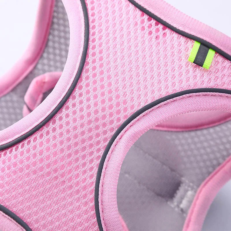 Harnais souple pour petit chien respirant