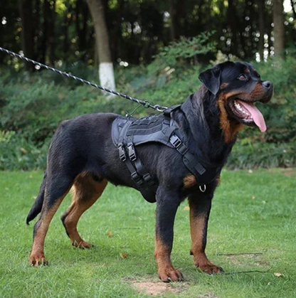 Harnais tactique militaire chien sur un gros chien noir 