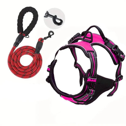 laisse et harnais pour chien de couleur violet avec laisse rouge résistant et durable. Image produit Boutiquechien