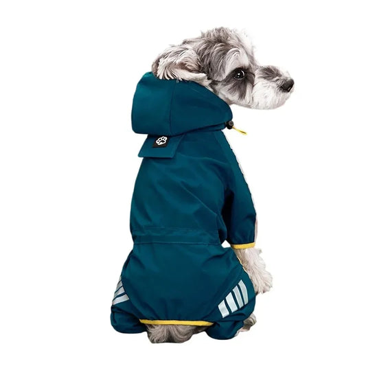 Imper de couleur vert fonce avec un petit chien de couleur gris. Image produit Boutiquechien