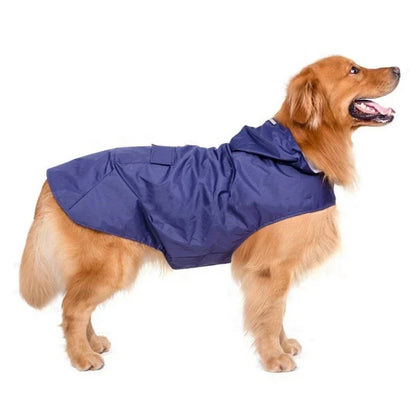 Gros chien de couleur claire portant un imper pour chien de couleur bleu. Image produit Boutiquechien