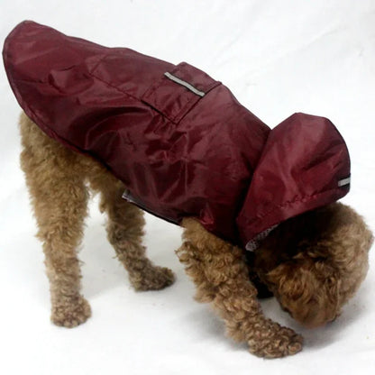 petit chien de couleur claire portant un imper pour chien de couleur rouge. Image produit Boutiquechien