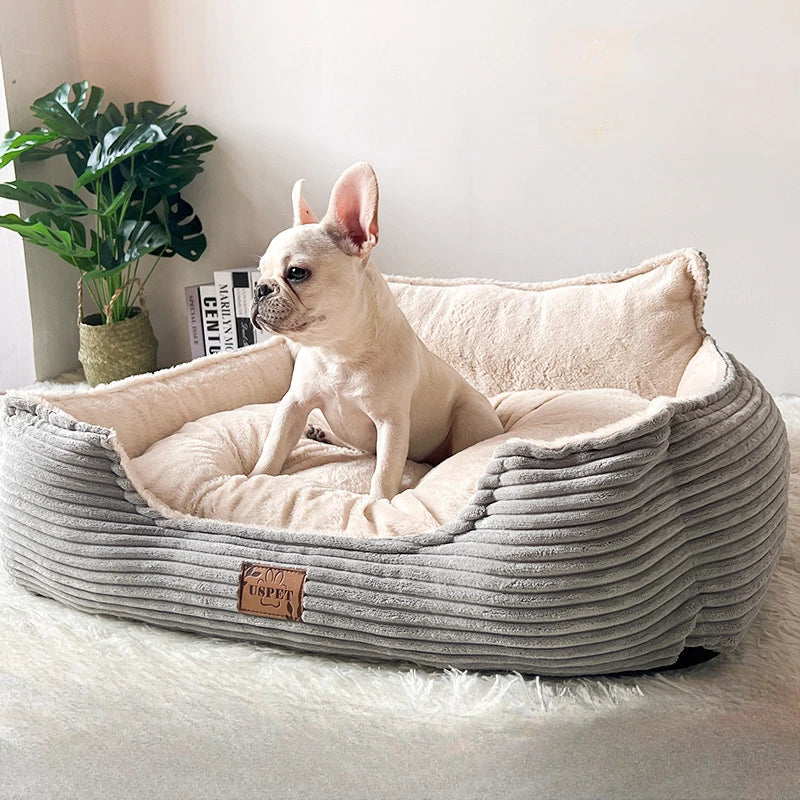 Joli panier pour chien avec un buldog dedans  Image