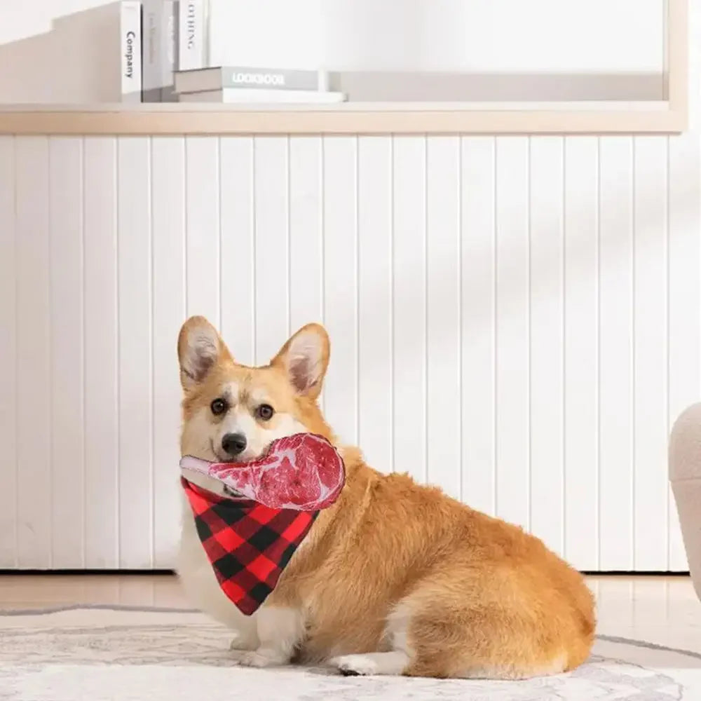 Jouet à mâcher chiot avec un chien tenant le produit 