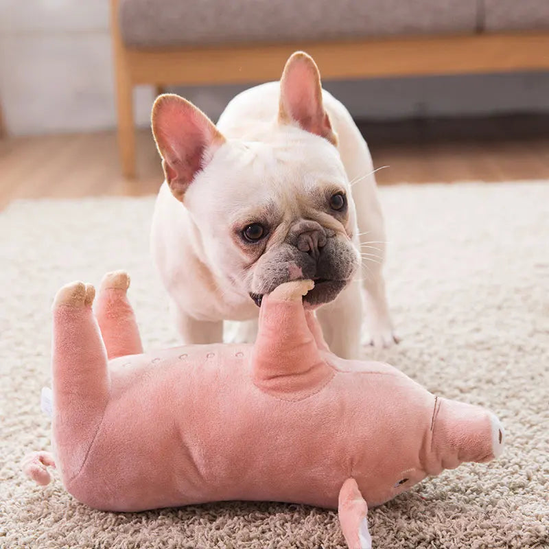 Jouet chiot bouledogue francais avec un chien jouant avec dans le salon