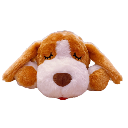 Jouet pour chiot 3 mois