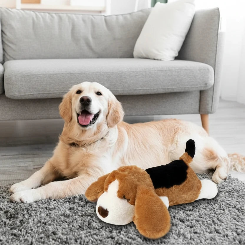 Jouet pour chiot 3 mois près d'un chien blanc 