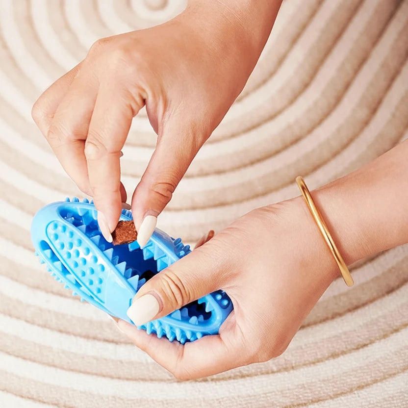 Jouet pour chiot husky pour friandise