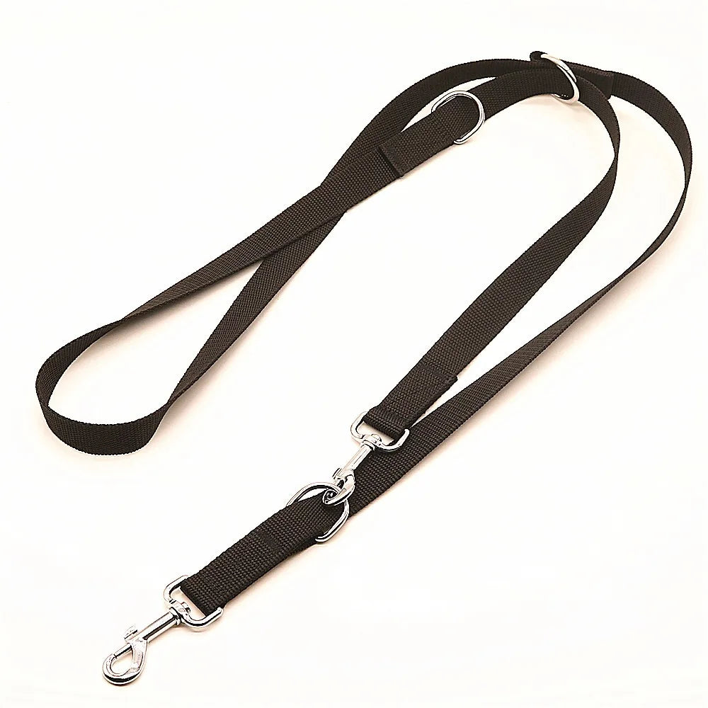 Laisse 3 positions pour chien avec une tenu particulier Image