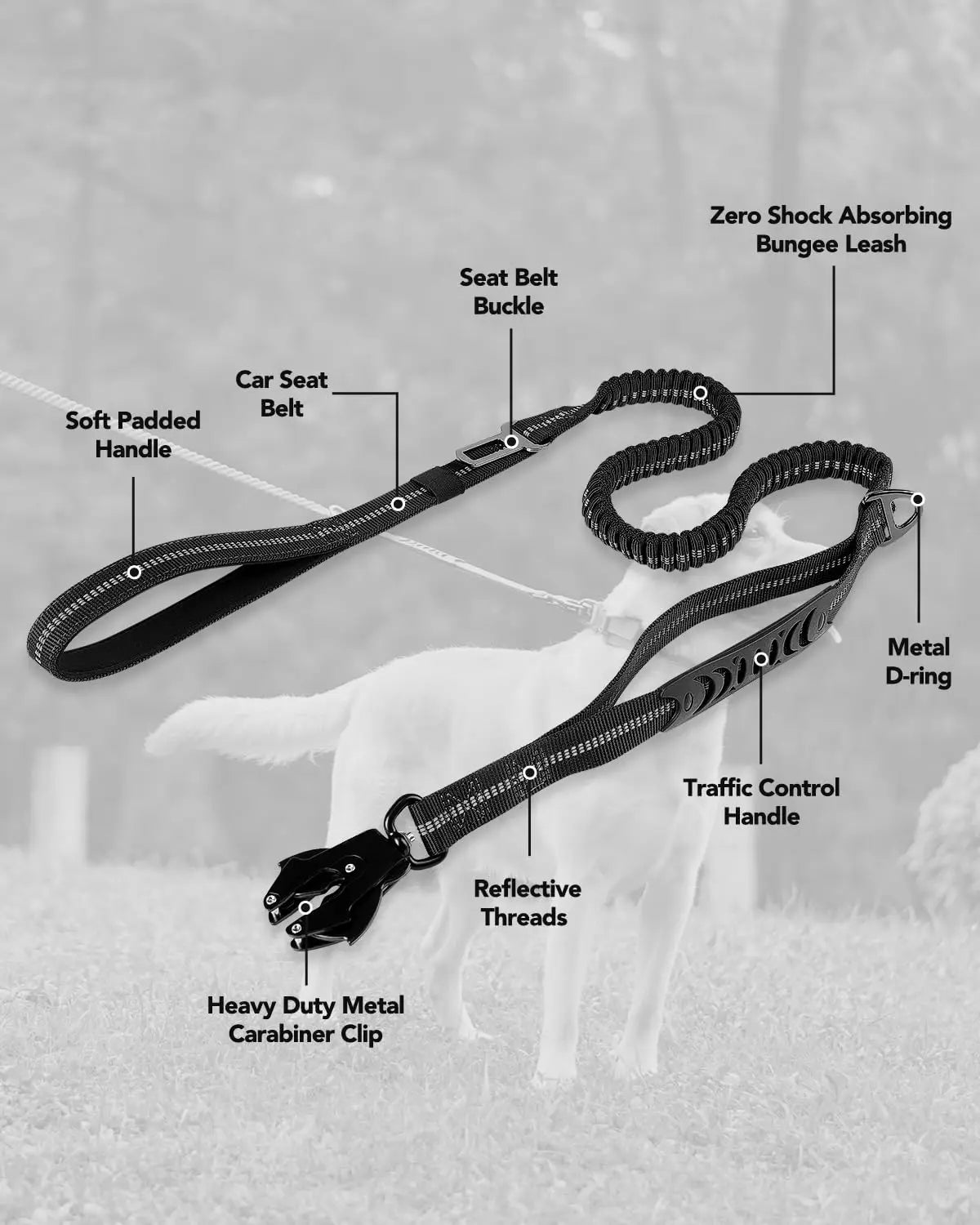 Laisse amortisseur pour gros chien avantages du produit 