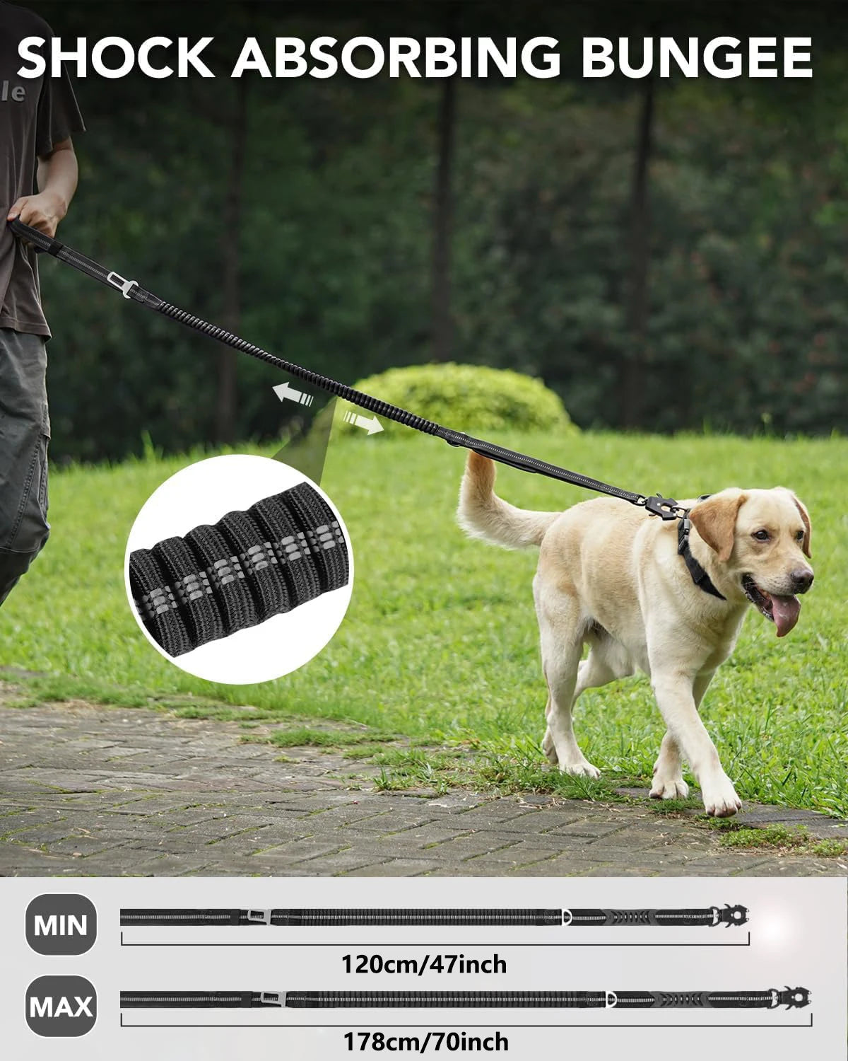 Laisse amortisseur pour gros chien dimensions