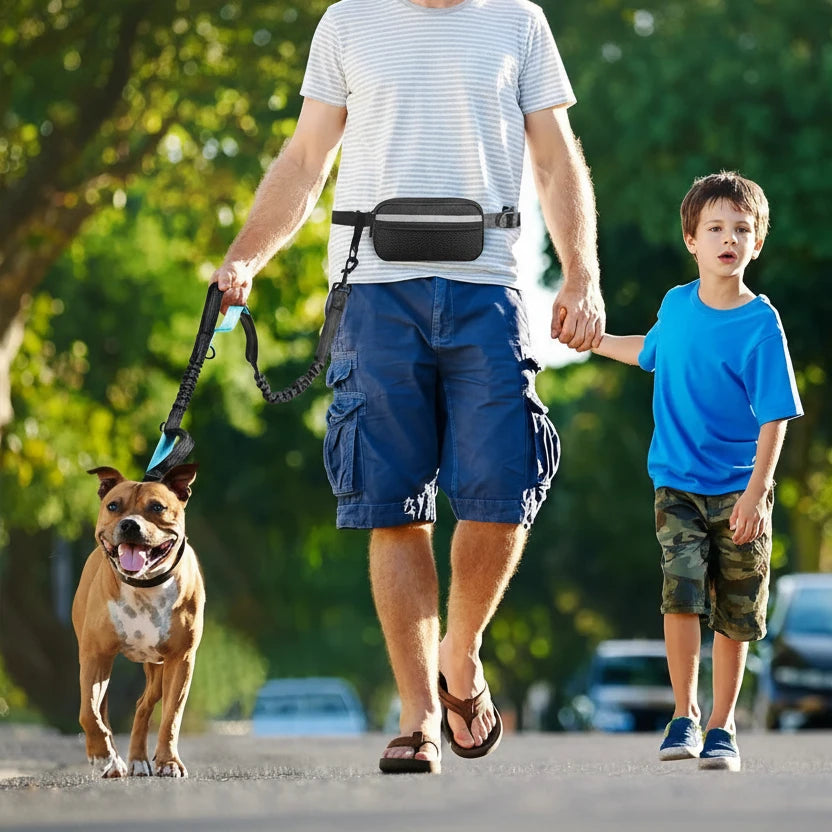 Laisse anti traction pour chien avec un homme tenant la laisse Image