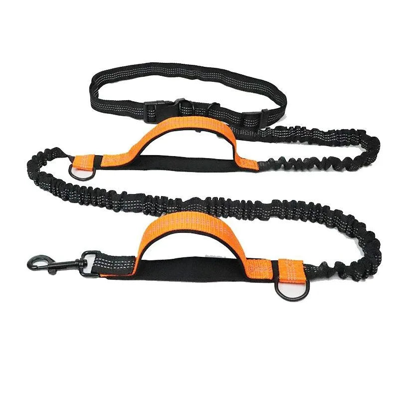 Laisse anti traction pour chien orange 
