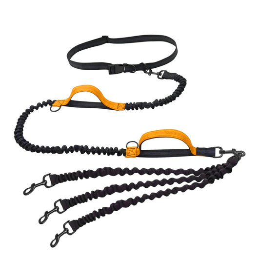 Laisse main libre chien de couleur noir et Orange. Le produit est super si vous voulez courir avec trois chien. Image produit Boutiquechien