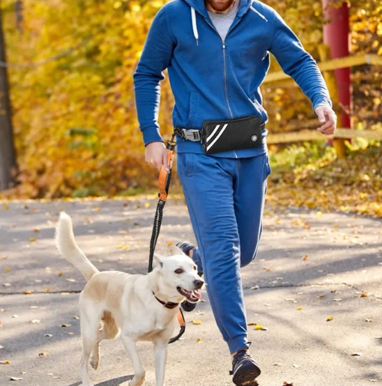 Laisse canicross gros chien avec un homme tenant un chien blanc dans les bois orange 