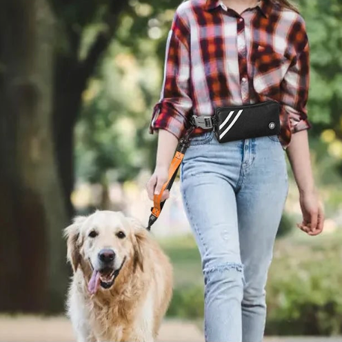 Laisse canicross gros chien avec une femme tenant son chien blanc dans la rue 
