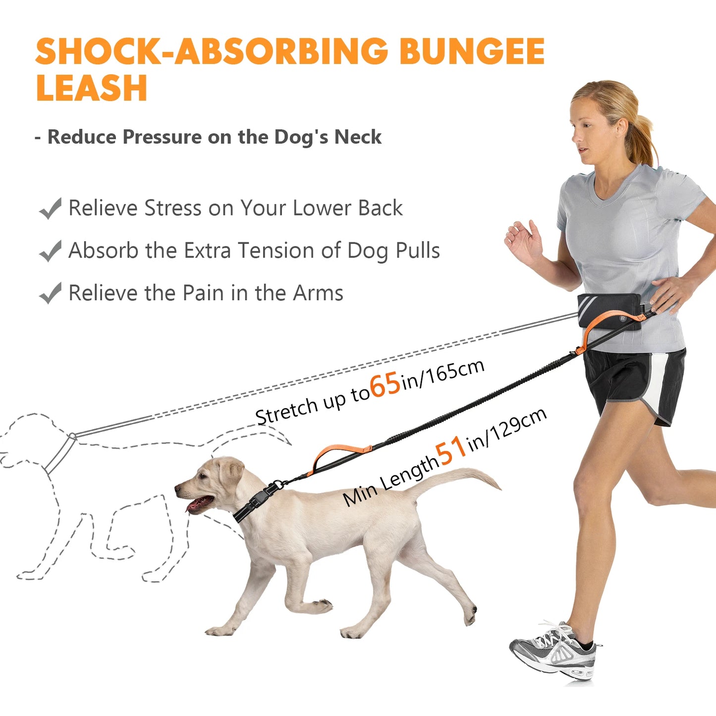 Laisse canicross gros chien dimensions total