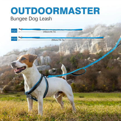 Laisse canicross petit chien dimensiosn du produit 