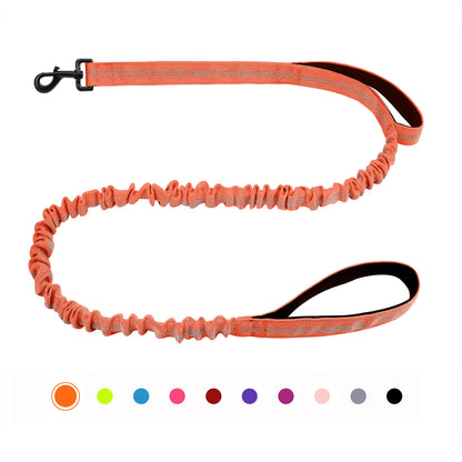 Laisse canicross petit chien orange 