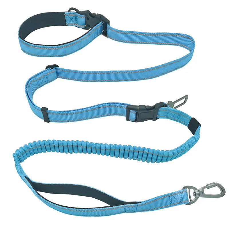 Laisse ceinture canicross bleu