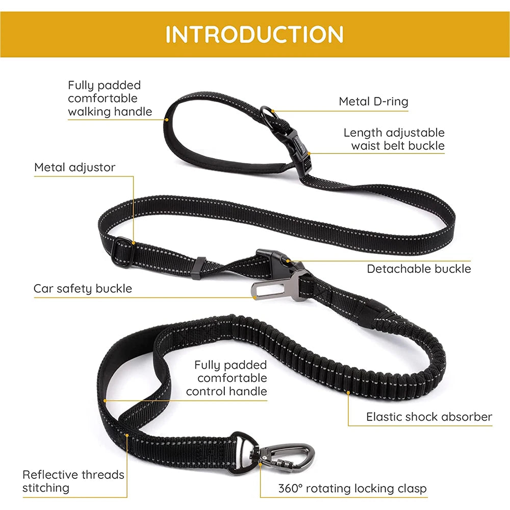 Laisse ceinture canicross caractéristique