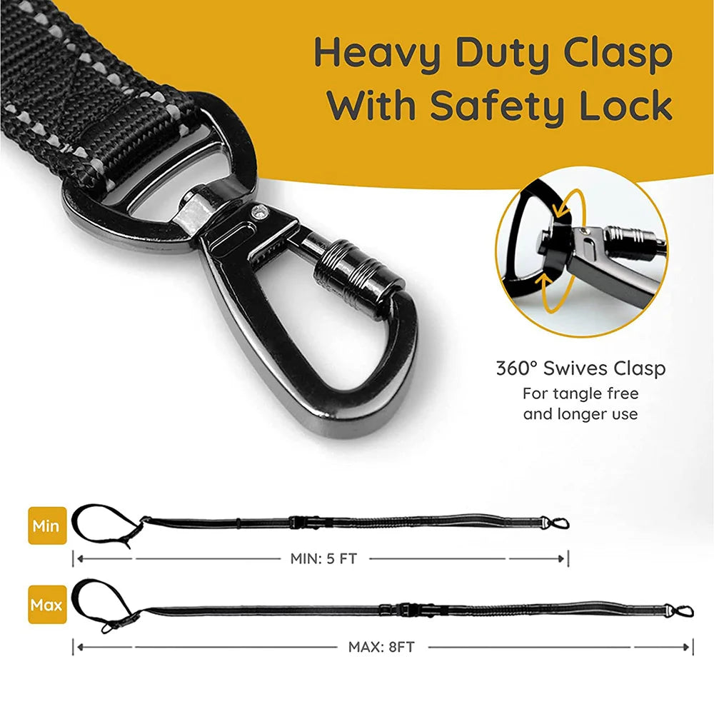 Laisse ceinture canicross dimensions et mousqueton