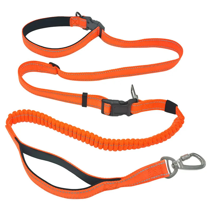 Laisse ceinture canicross orange
