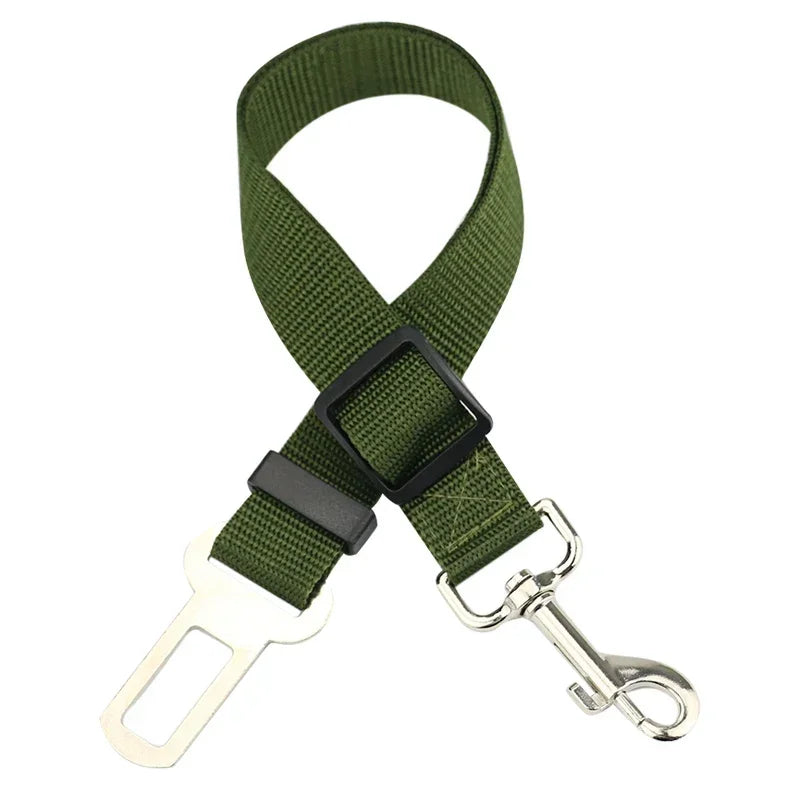 Laisse ceinture chien kaki foncé de boutiquechien
