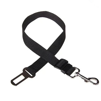 Laisse ceinture chien noir de boutiquechien