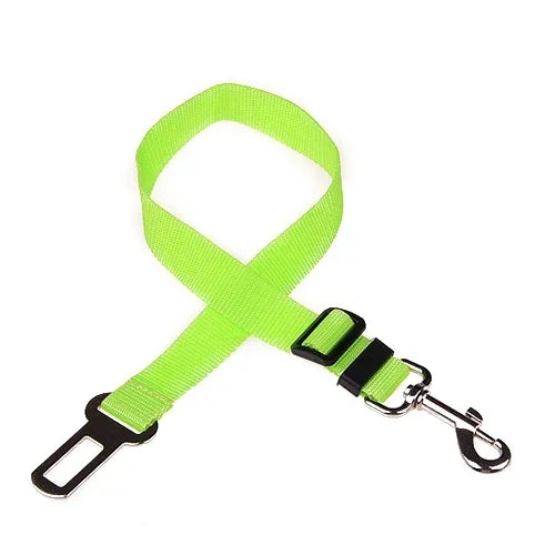 ceinture de sécurité de couleur vert claire  pour chien de boutiquechien 