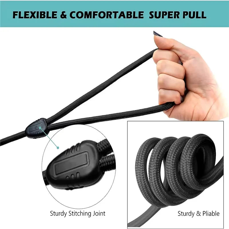 Laisse chien corde 10m poignee