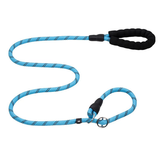 Laisse chien corde 2m bleu