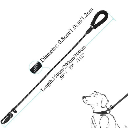 Laisse chien corde 2m dimensions 