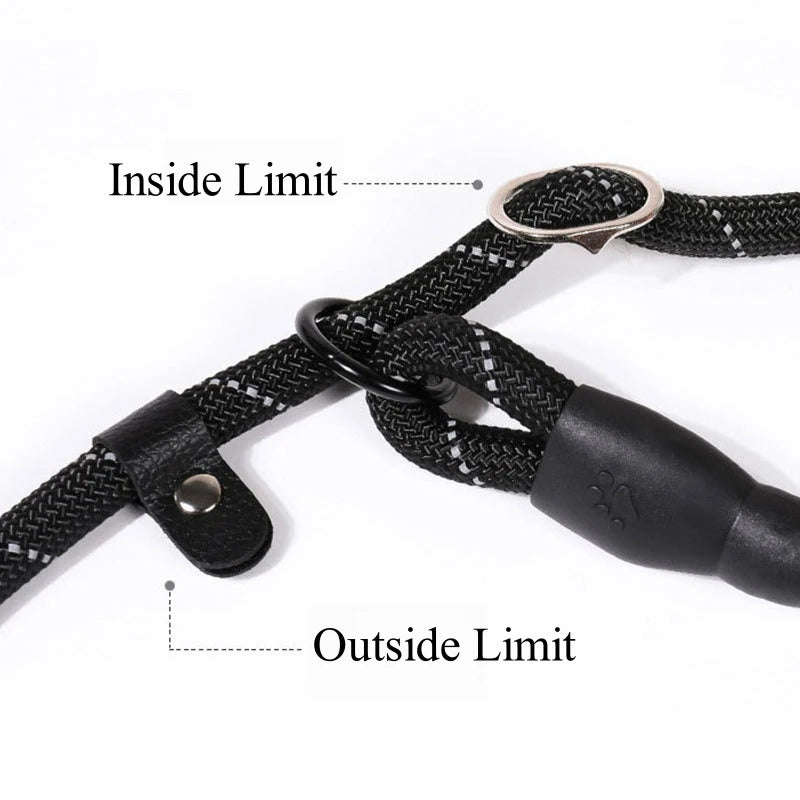 Laisse chien corde 2m fonctionnement