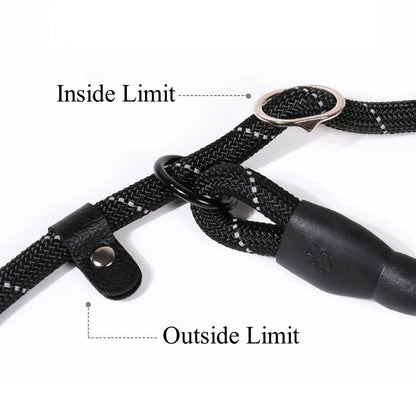 Laisse chien corde 2m fonctionnement