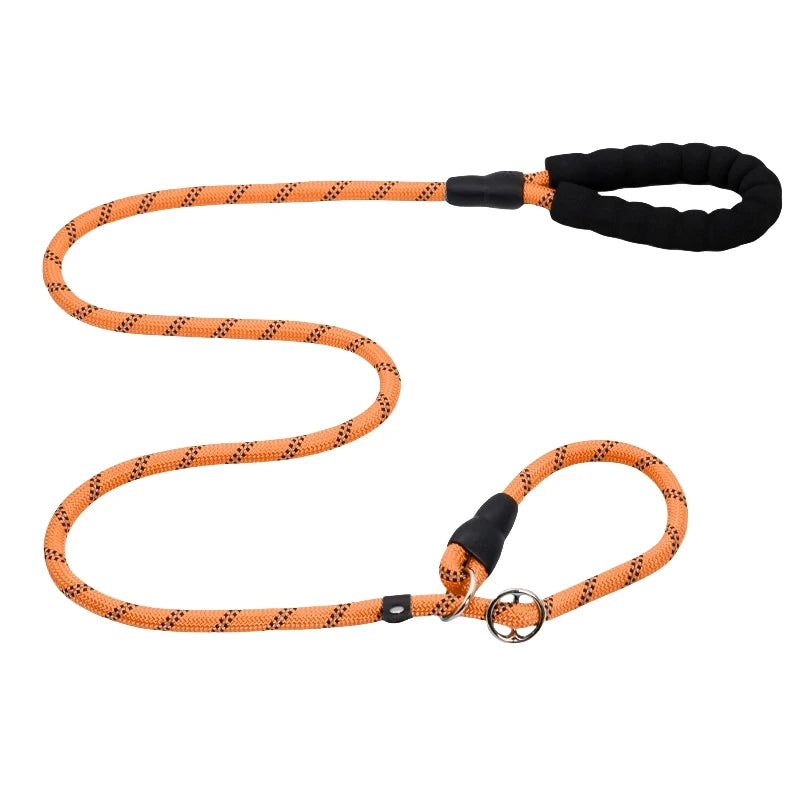 Laisse chien corde 2m orange