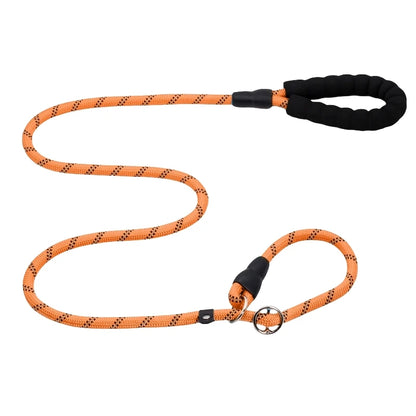 Laisse chien corde 2m orange