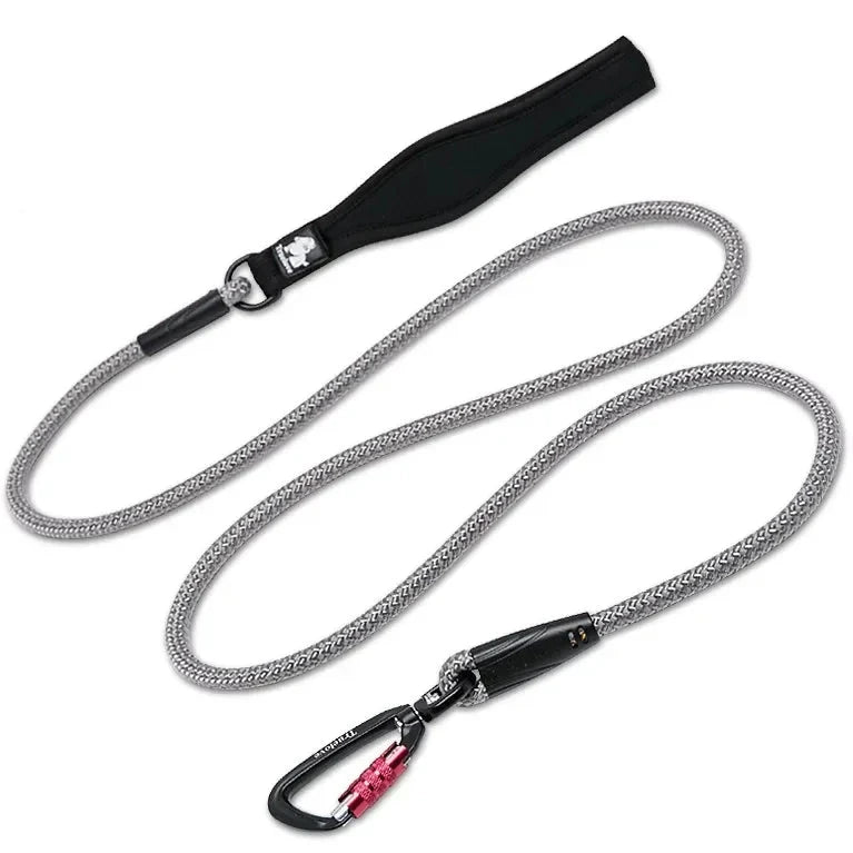 Laisse chien corde escalade gris