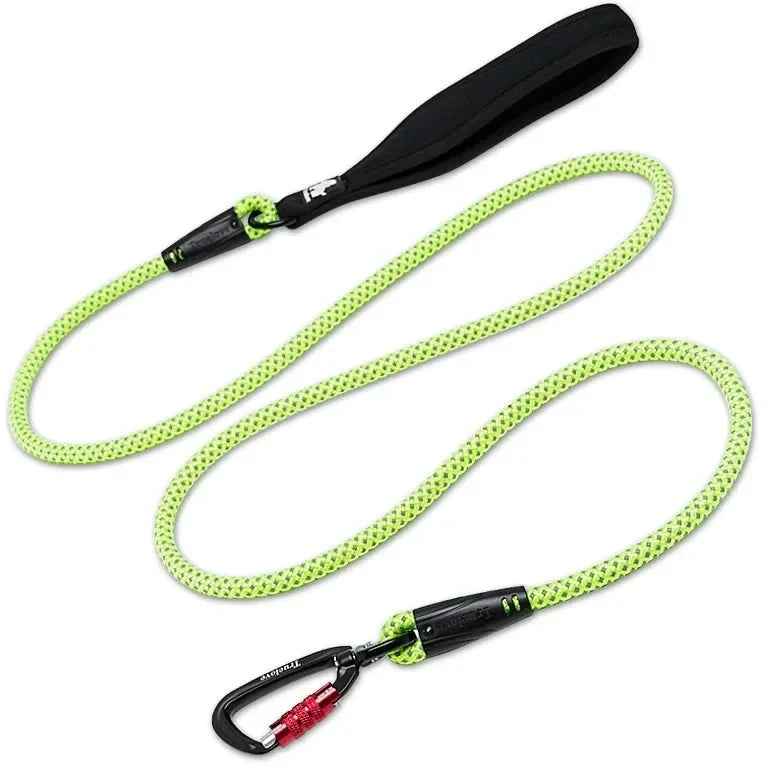 Laisse chien corde escalade jaune fluo