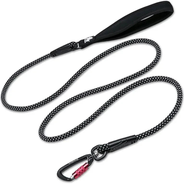 Laisse chien corde escalade noir