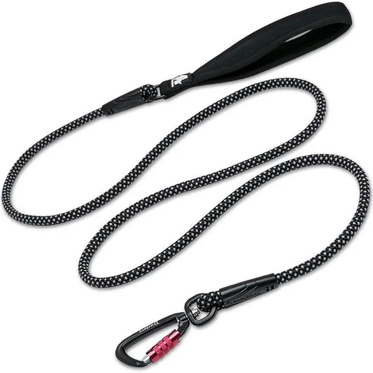 Laisse chien corde escalade noir