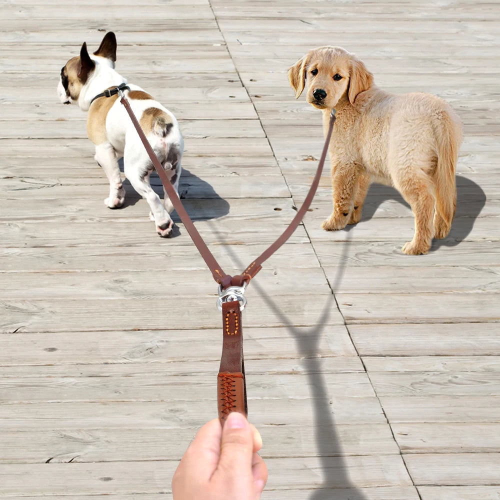 Laisse chien de couleur brun promenant deux chien. Image produit Boutiquechien