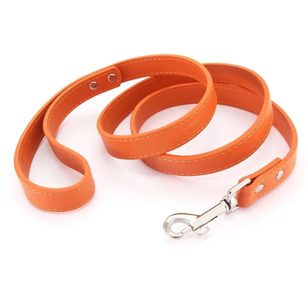 Laisse pour chiot de couleur orange style cuir. Parfait pour promener un chiot facilement. Image produit Boutiquechien
