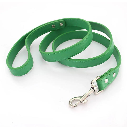 Laisse pour chiot de couleur verte style cuir. Parfait pour promener un chiot facilement. Image produit Boutiquechien