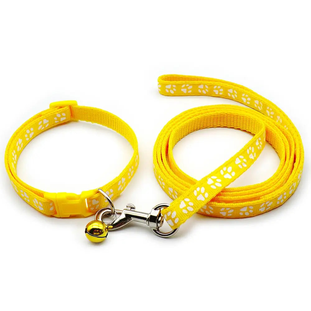 Laisse collier chiot de couleur jaune