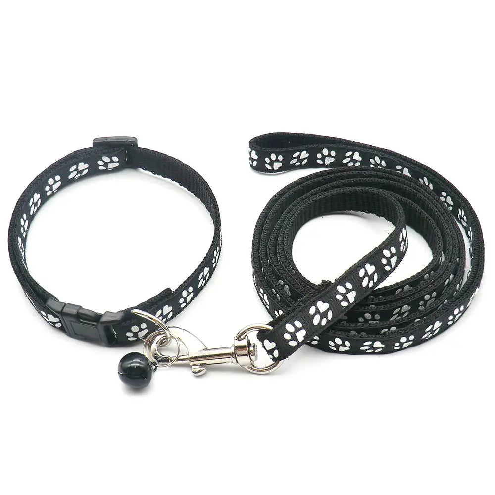 Laisse collier chiot noir