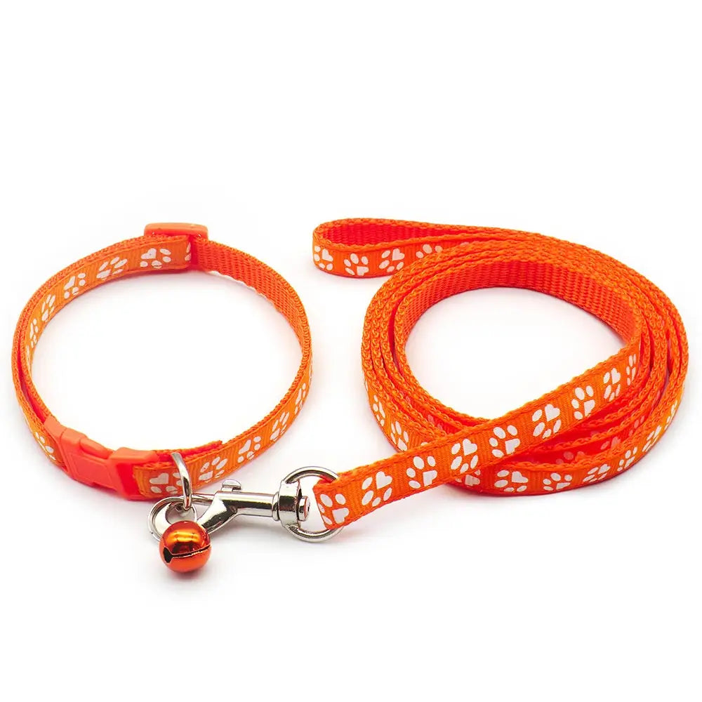 Laisse collier chiot orange